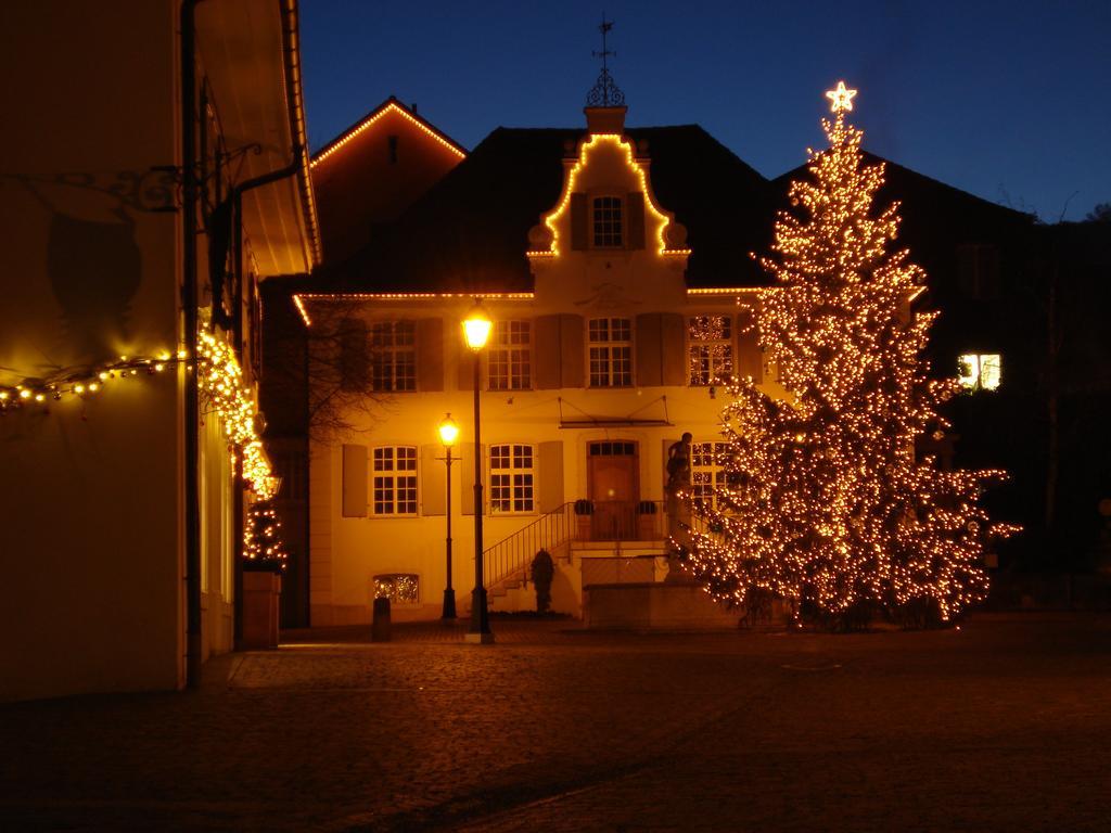 Hotel Gasthof Zum Ochsen Arlesheim Luaran gambar